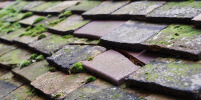 Cheadle roof repair costs